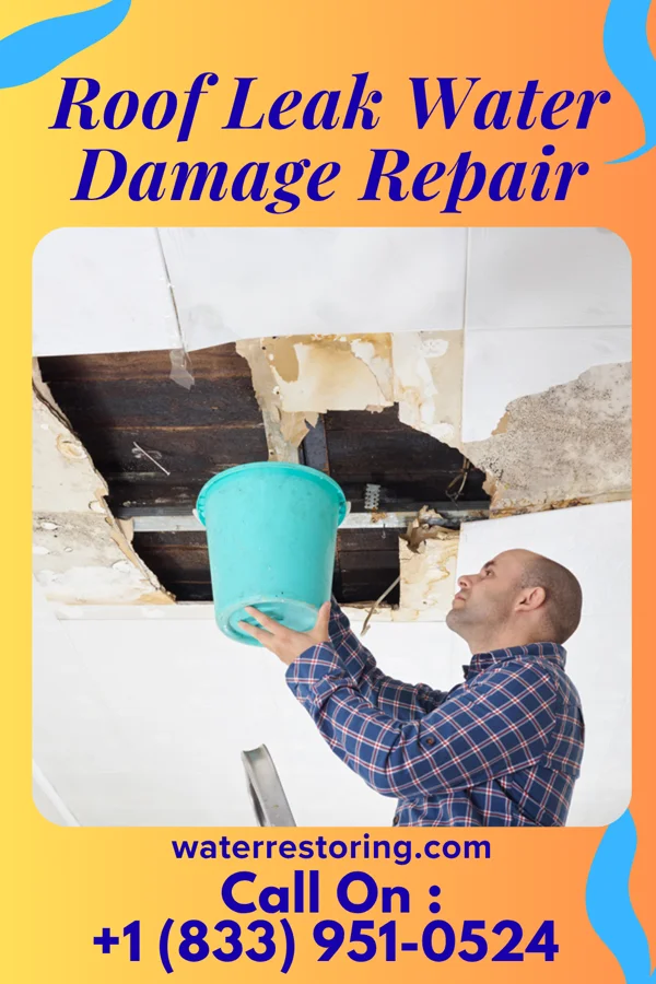 Roof Leak Water Damage Repair in Locust, NC