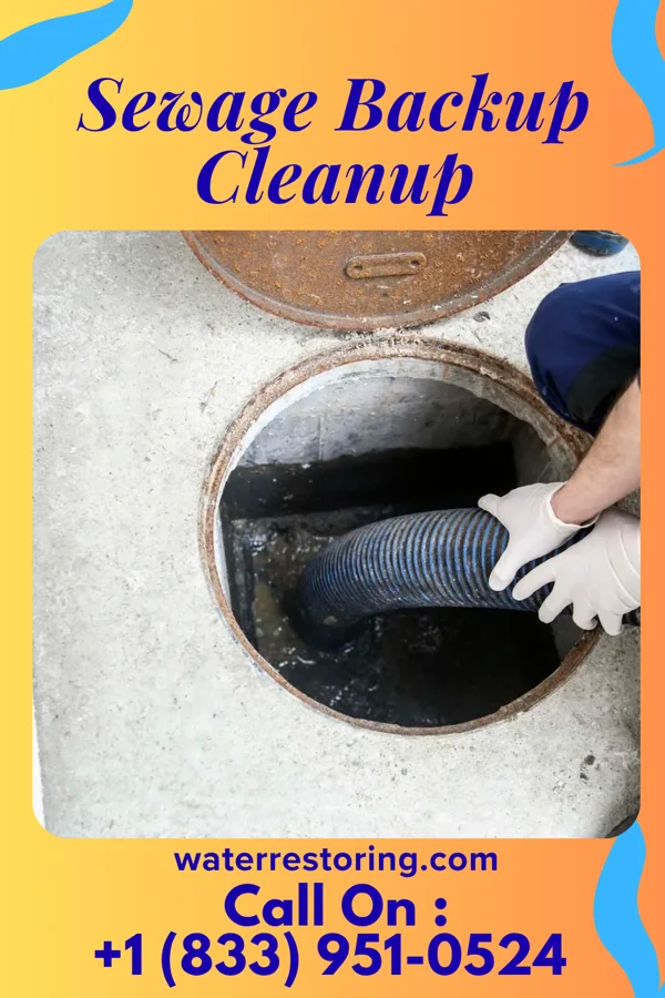 Sewage Backup Cleanup in Locust, NC