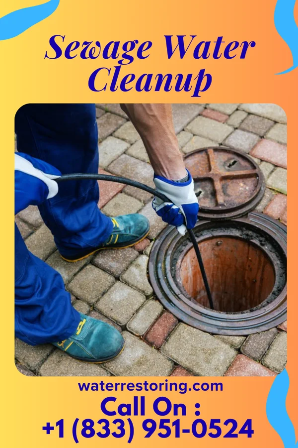 Sewage Water Cleanup in Locust, NC